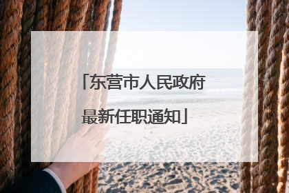 东营市人民政府最新任职通知