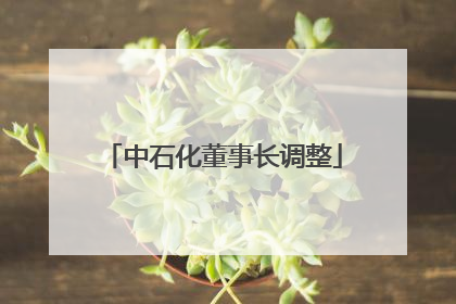 中石化董事长调整