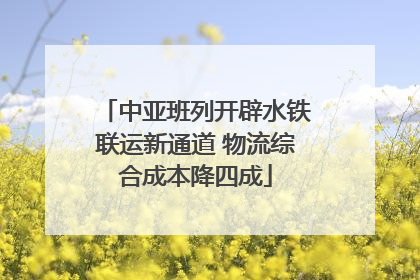 中亚班列开辟水铁联运新通道 物流综合成本降四成