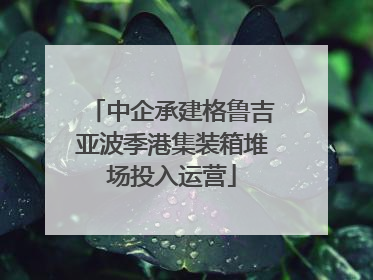 中企承建格鲁吉亚波季港集装箱堆场投入运营