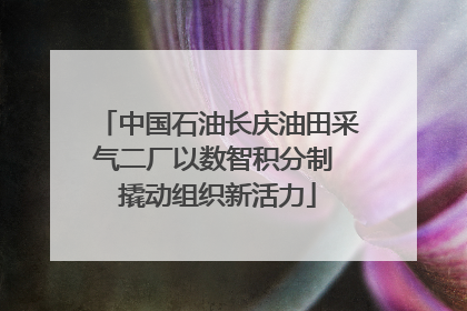 中国石油长庆油田采气二厂以数智积分制 撬动组织新活力