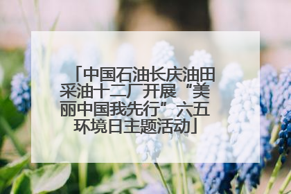 中国石油长庆油田采油十二厂开展“美丽中国我先行”六五环境日主题活动