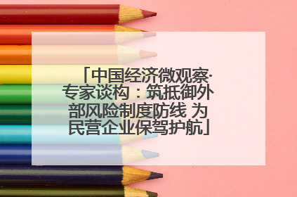 中国经济微观察·专家谈构：筑抵御外部风险制度防线 为民营企业保驾护航