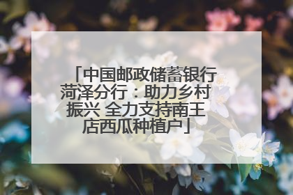 中国邮政储蓄银行菏泽分行：助力乡村振兴 全力支持南王店西瓜种植户