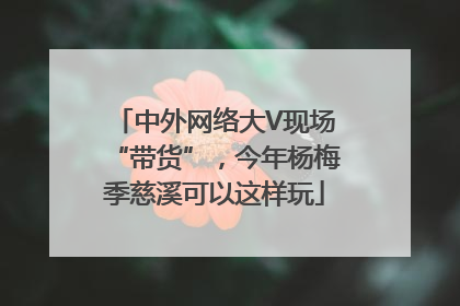中外网络大V现场“带货”，今年杨梅季慈溪可以这样玩