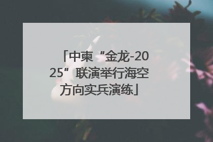 中柬“金龙-2025”联演举行海空方向实兵演练