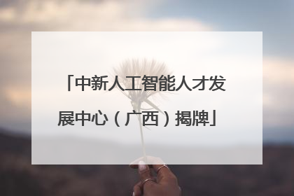 中新人工智能人才发展中心（广西）揭牌