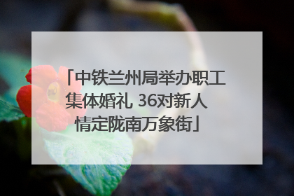 中铁兰州局举办职工集体婚礼 36对新人情定陇南万象街