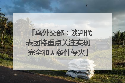 乌外交部：谈判代表团将重点关注实现完全和无条件停火