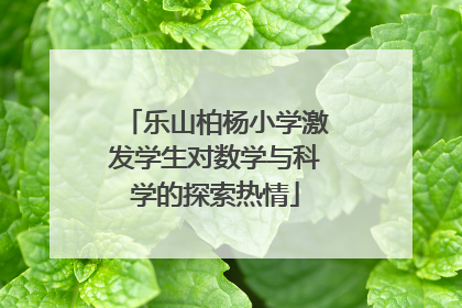 乐山柏杨小学激发学生对数学与科学的探索热情