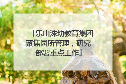 乐山洙幼教育集团聚焦园所管理，研究部署重点工作