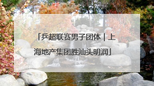 乒超联赛男子团体｜上海地产集团胜汕头明润