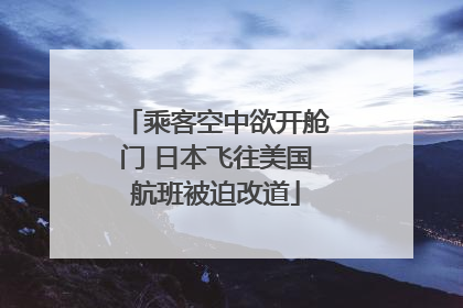 乘客空中欲开舱门 日本飞往美国航班被迫改道
