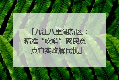 九江八里湖新区：精准“吹哨”聚民意 真查实改解民忧