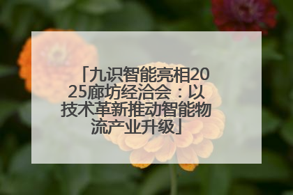九识智能亮相2025廊坊经洽会：以技术革新推动智能物流产业升级