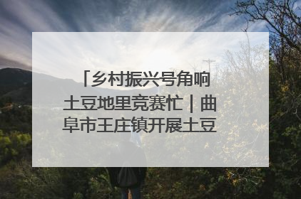 乡村振兴号角响 土豆地里竞赛忙｜曲阜市王庄镇开展土豆收获劳动竞赛