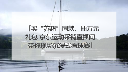 买“苏超”同款、抽万元礼包 京东运动采销直播间带你现场沉浸式看球赛