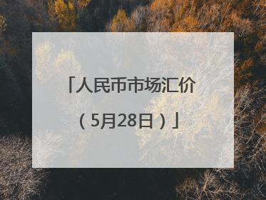 人民币市场汇价（5月28日）
