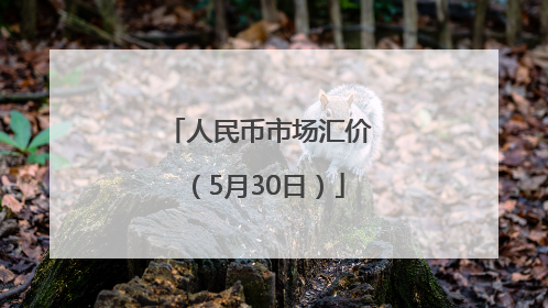 人民币市场汇价（5月30日）