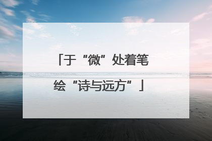 于“微”处着笔 绘“诗与远方”