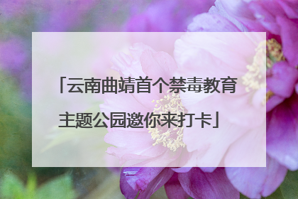云南曲靖首个禁毒教育主题公园邀你来打卡
