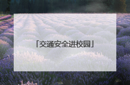 交通安全进校园
