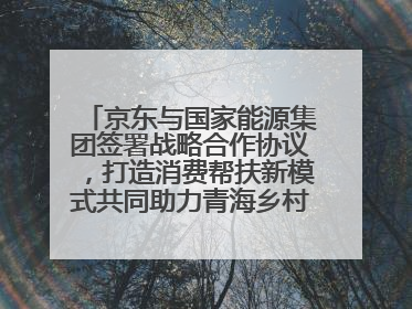京东与国家能源集团签署战略合作协议，打造消费帮扶新模式共同助力青海乡村振兴发展