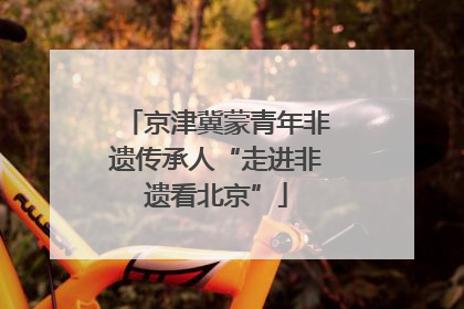 京津冀蒙青年非遗传承人“走进非遗看北京”