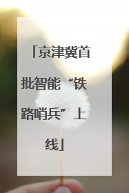 京津冀首批智能“铁路哨兵”上线