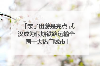 亲子出游是亮点 武汉成为假期铁路运输全国十大热门城市