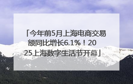 今年前5月上海电商交易额同比增长6.1%！2025上海数字生活节开幕