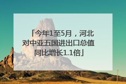 今年1至5月，河北对中亚五国进出口总值同比增长1.1倍