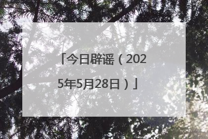 今日辟谣（2025年5月28日）