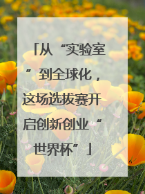 从“实验室”到全球化，这场选拔赛开启创新创业“世界杯”