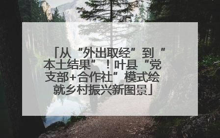 从“外出取经”到“本土结果”！叶县“党支部+合作社”模式绘就乡村振兴新图景