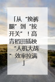 从“挽裤腿”到“按开关”！高青稻田插秧“人机大战”效率拉满