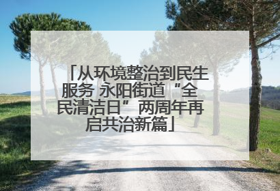 从环境整治到民生服务 永阳街道“全民清洁日”两周年再启共治新篇