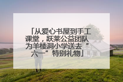 从爱心书屋到手工课堂，跃莱公益团队为羊楼洞小学送去“六一”特别礼物