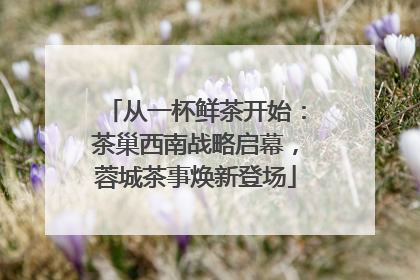 从一杯鲜茶开始：茶巢西南战略启幕，蓉城茶事焕新登场