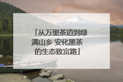 从万里茶道到绿满山乡 安化黑茶的生态致富路