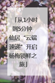 从1小时到5分钟 仙居“云端速递”开启杨梅锁鲜之旅