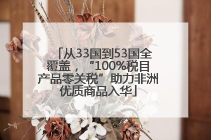 从33国到53国全覆盖，“100%税目产品零关税”助力非洲优质商品入华