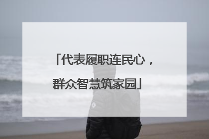代表履职连民心，群众智慧筑家园