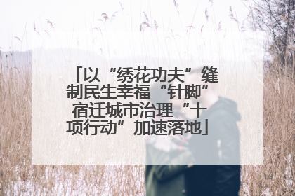 以“绣花功夫”缝制民生幸福“针脚” 宿迁城市治理“十项行动”加速落地