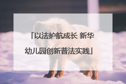 以法护航成长 新华幼儿园创新普法实践