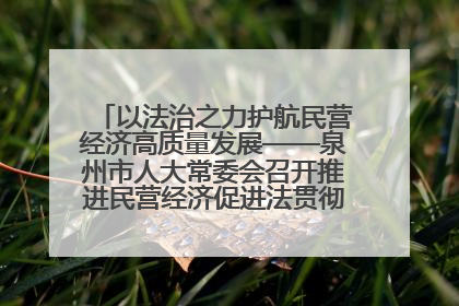 以法治之力护航民营经济高质量发展——泉州市人大常委会召开推进民营经济促进法贯彻实施座谈会