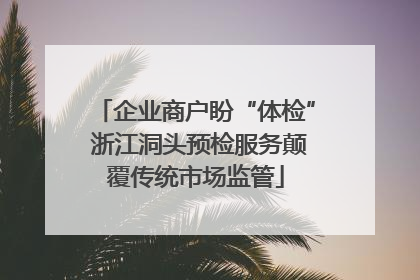 企业商户盼“体检” 浙江洞头预检服务颠覆传统市场监管