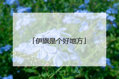伊旗是个好地方