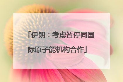 伊朗：考虑暂停同国际原子能机构合作