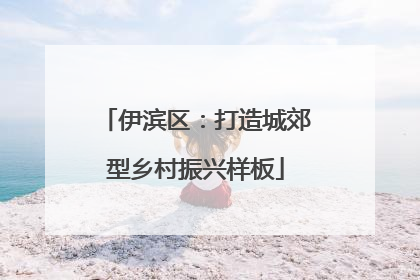 伊滨区：打造城郊型乡村振兴样板